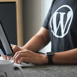 Wordpress ist das beliebteste CMS der Welt. Die Mehrheit der Webseiten benutzen Wordpress