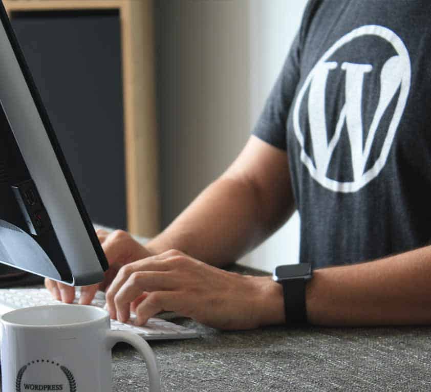 WordPress beliebteste Content Management System der Welt